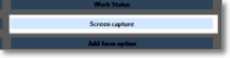 From Add Item in Template Maintenance select the Screen Capture button shown here.