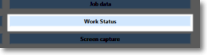 From Add Item in Template Maintenance select the Work status button shown here.
